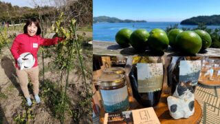 爆速で進むライム新規事業に、大企業50代は通用するのか？—異色のタッグが生んだ想定外の化学反応